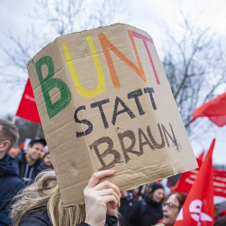 Demonstrationschild zwischen Linken Fahnen: Bunt statt braun.