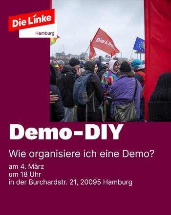 DEMO DIY - Wie organisiere ich eine Demonstration?